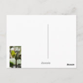 トンボ用はがき ポストカード (裏面)