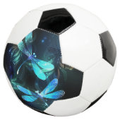 トンボ白熱［赤熱］光を放つイ湖 サッカーボール (3/4)