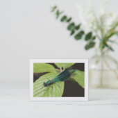 トンボ縁どイ 名刺 (スタンド正面)