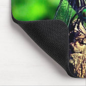 トンボ自然 マウスパッド (コーナー)