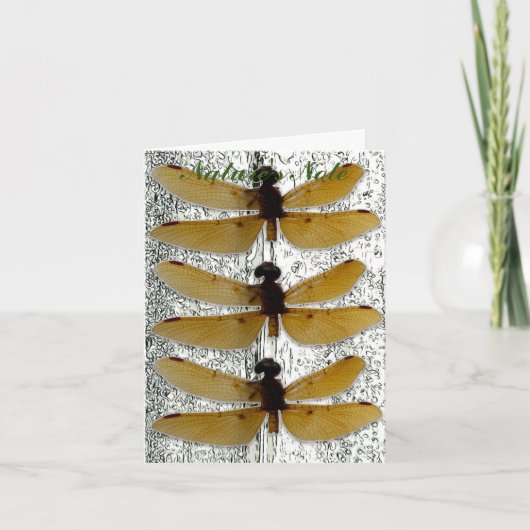 トンボ葉フォトノートカード ノートカード (正面)