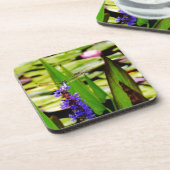 トンボ蓮と紫の花 コースター (左側)