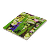 トンボ蓮と紫の花 タイル (側面)