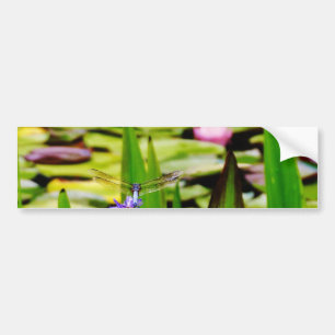 トンボ蓮と紫の花 バンパーステッカー