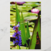 トンボ蓮と紫の花 便箋 (正面)