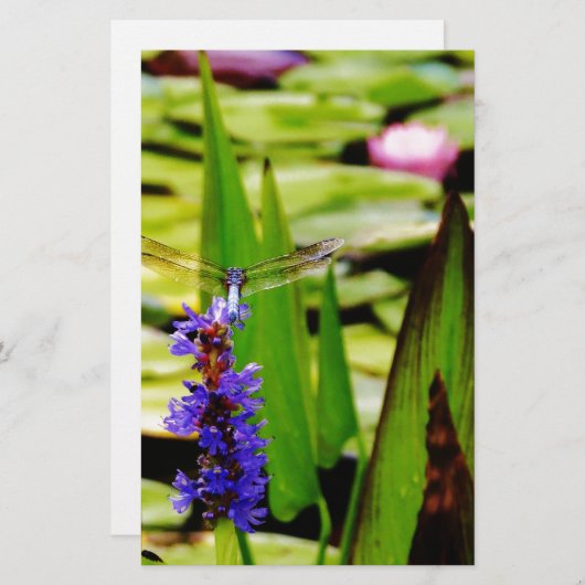 トンボ蓮と紫の花 便箋 (正面/裏面)