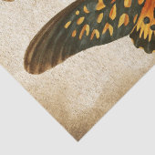 トンボ蝶のデコページ 薄葉紙 (詳細)