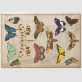 トンボ蝶の蛾のデコページ 薄葉紙