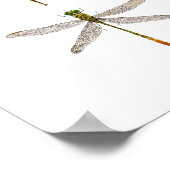 トンボ10種 ポスター (角)