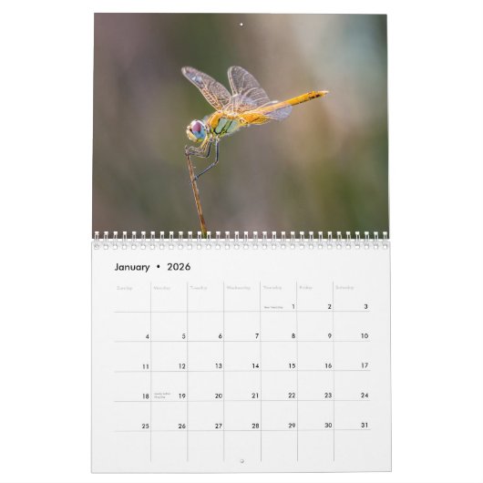 トンボ2025 カレンダー (1月 2026)