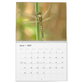 トンボ2025 カレンダー (3月 2027)