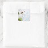 トンボ4 スクエアシール (バッグ)