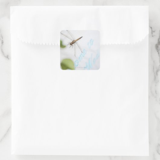 トンボ4 スクエアシール (バッグ)