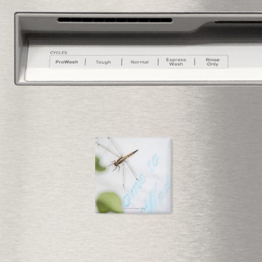 トンボ4 マグネット (インサイチュ (食洗機))