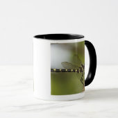 トンボ5 マグカップ (正面右)