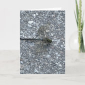 トンボ カード (正面)