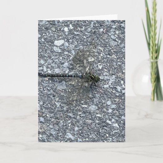 トンボ カード (正面)