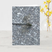 トンボ カード (黄色い花)