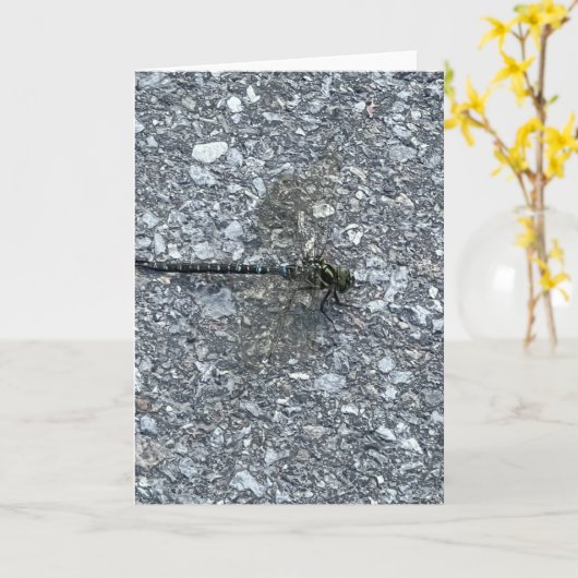 トンボ カード (黄色い花)