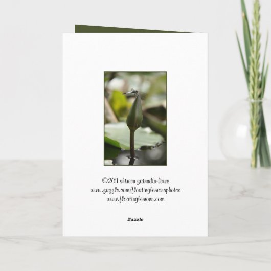 トンボ・カード カード (裏面)