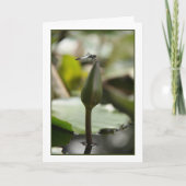 トンボ・カード カード (正面)