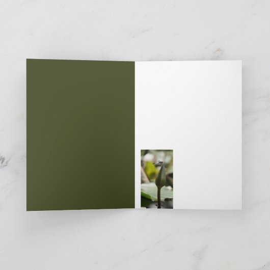 トンボ・カード カード (内部)