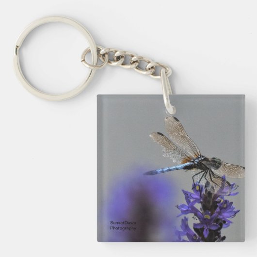 トンボ キーホルダー (正面)