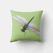 トンボ クッション (裏面)