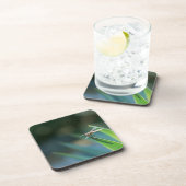 トンボ コースター (右側)