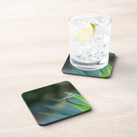 トンボ コースター (右側)