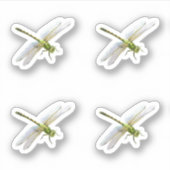 トンボ シール (正面)