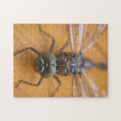 トンボ ジグソーパズル (横)