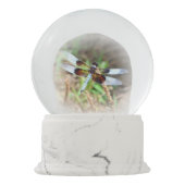 トンボ スノーグローブ (裏面)