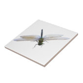 トンボ タイル (側面)