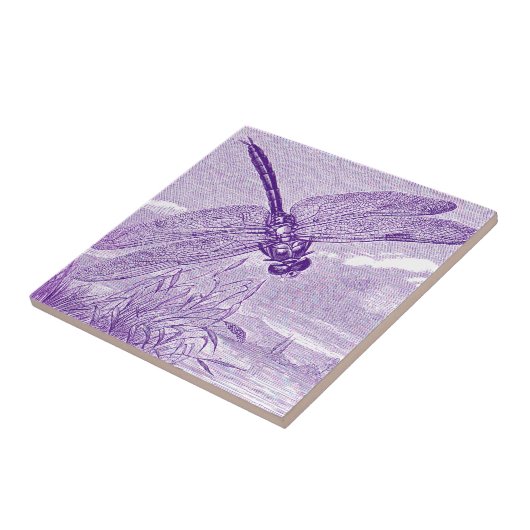 トンボ タイル (側面)