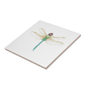 トンボ タイル (側面)