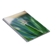 トンボ ノートブック (右側)