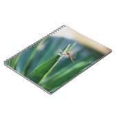 トンボ ノートブック (左側)