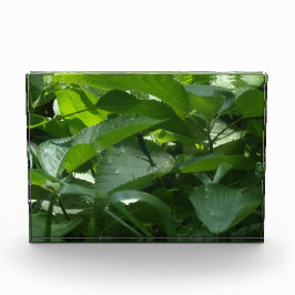 トンボ フォトブロック