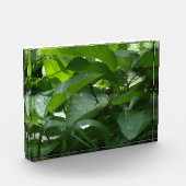 トンボ フォトブロック (左)