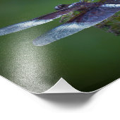 トンボ フォトプリント            (角)