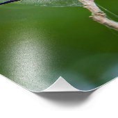 トンボ フォトプリント            (角)