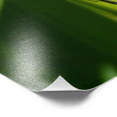 トンボ フォトプリント            (角)