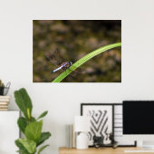 トンボ ポスター (ホームオフィス)