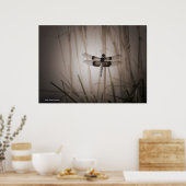 トンボ ポスター (キッチン)