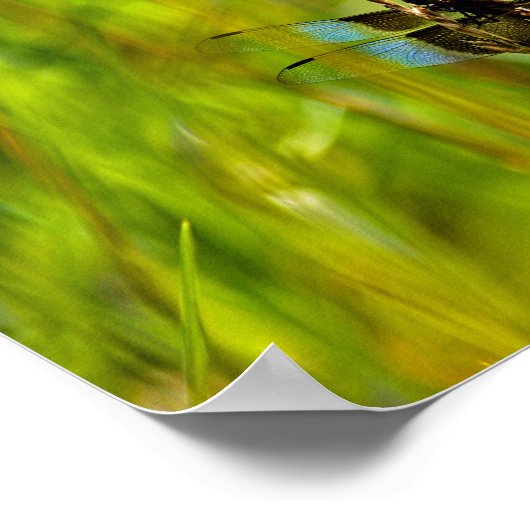 トンボ ポスター (角)