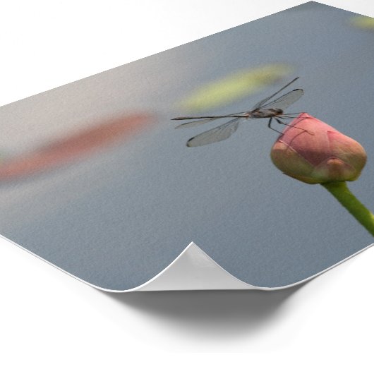 トンボ ポスター (角)