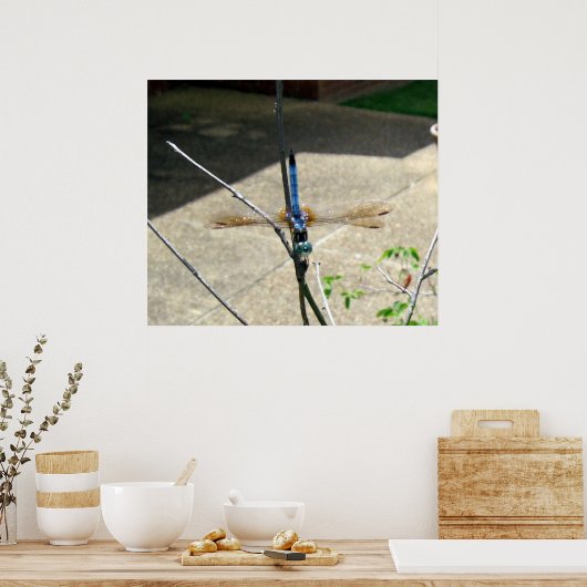 トンボ ポスター (キッチン)