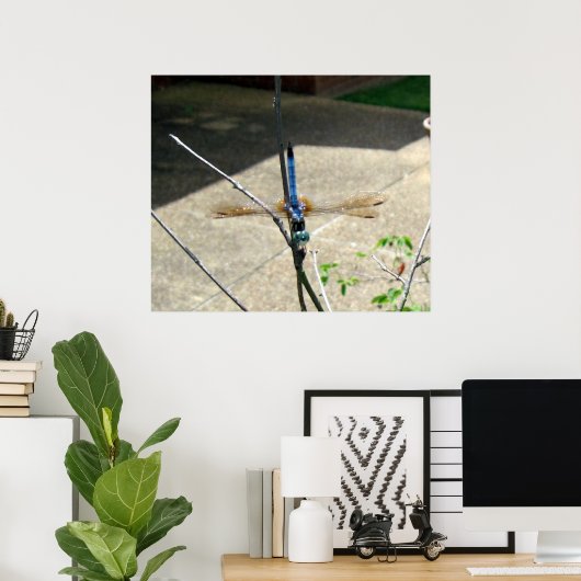 トンボ ポスター (ホームオフィス)