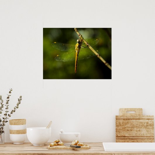 トンボ ポスター (キッチン)